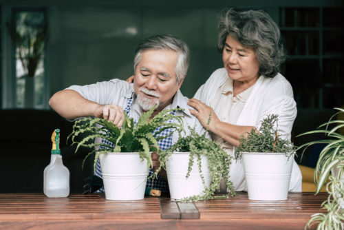 Exploring the Types of Insurance in Malaysia: Protecting What Matters 6 Types of Insurance in Malaysia - Retirement